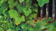 The Secret World of Arrietty 