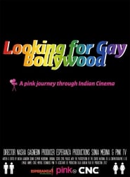 Looking for Gay Bollywood