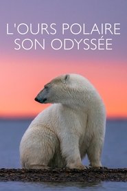 Kingdom of the Polar Bears 2021