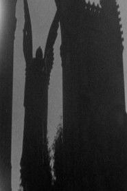 view of Ines and the Castle of Klein Glienicke