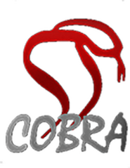 Cobra Film Department