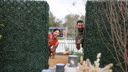 Scrubs vs. Shrubs
