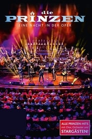 Die Prinzen - Eine Nacht in der Oper