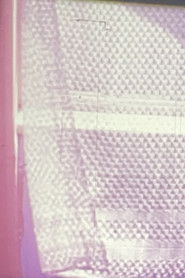 Poster The Wind Variations 1968