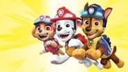 Paw Patrol: Ready, Race, Rescue