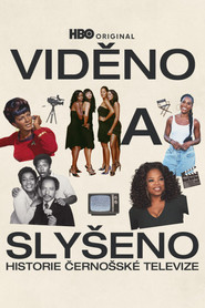 Viděno a slyšeno: Historie černošské televize