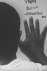 The Perfect White Wall (1996)