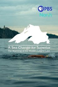 A Sea Change for Superior: The Warming of the World's Largest Lake 2023 Бесплатан неограничен приступ