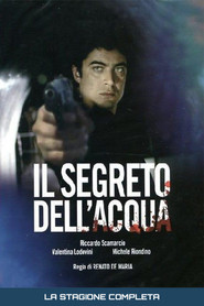 Affiche de la Saison 1