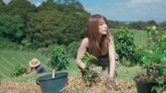 Image Rabbit-Hole-Temporada-1-HDTV-cap-02