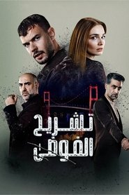 تشريح الفوضى