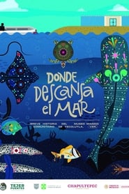 Poster Donde descansa el mar: Breve historia del Museo Marino Comunitario de Tecolutla