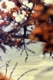 Poster At the Sea 1995
