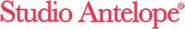 Studio Antelope