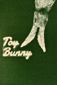 Toy Bunny