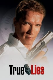 watch True Lies now