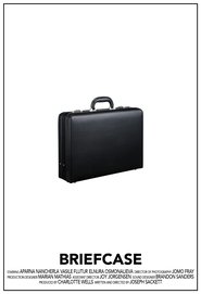 Poster Briefcase