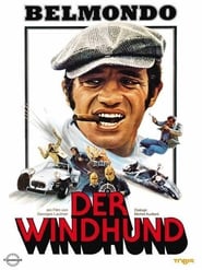 Poster Der Windhund