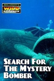 Poster Search for the Mystery Bomber 2007