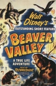 La valle dei castori (1950)
