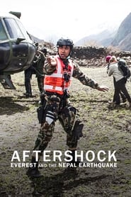 Aftershock: Everest and the Nepal Earthquake (2022)