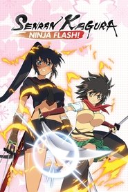 Senran Kagura: Ninja Flash постер