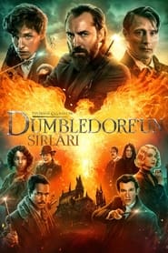 Fantastik Canavarlar: Dumbledore'un Sırları (2022)