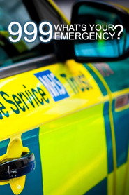 999: What's Your Emergency? (2012)