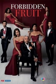 Download Forbidden Fruit: Yasak Elma (Season 1) Turkish TV Series {Hindi Dubbed} 720p WeB-HD [320MB]