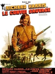 Le Convoi sauvage (1971)