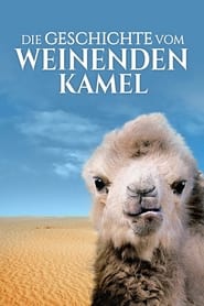 Poster Die Geschichte vom weinenden Kamel