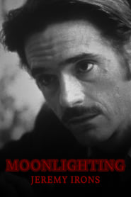 Moonlighting постер