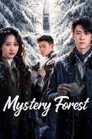 Mystery Forest