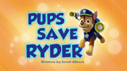Pups Save Ryder
