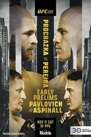 UFC 295: Prochazka vs. Pereira постер