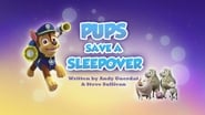 Pups Save a Sleepover