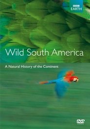 Andes to Amazon (2000) Andes to Amazon (2000)