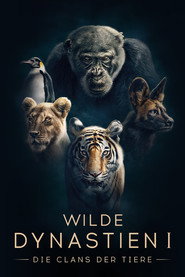 Dynasties Dynasties 7