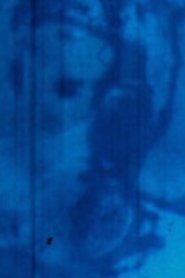 Poster Rayures (Rayures, effacement / Disparition) 2005