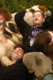 Animal Bridge - Every soul needs a home (2025)