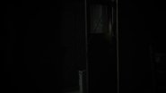 The Asylum
