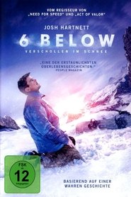 6 Below – Verschollen im Schnee (2017)