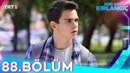 Episode 88