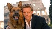 Rex, Chien Flic : Rome en streaming