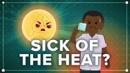 How the Environment Affects Your Health