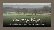 The Milland Valley in February