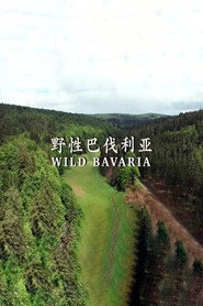 MongoDB.Entities.FuzzyString