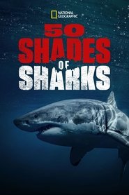 Cinquante nuances de requins 2021 Бесплатан неограничен приступ