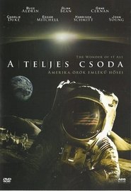 A teljes csoda (2007)