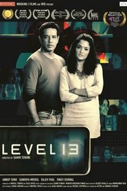 Level 13 (2019)